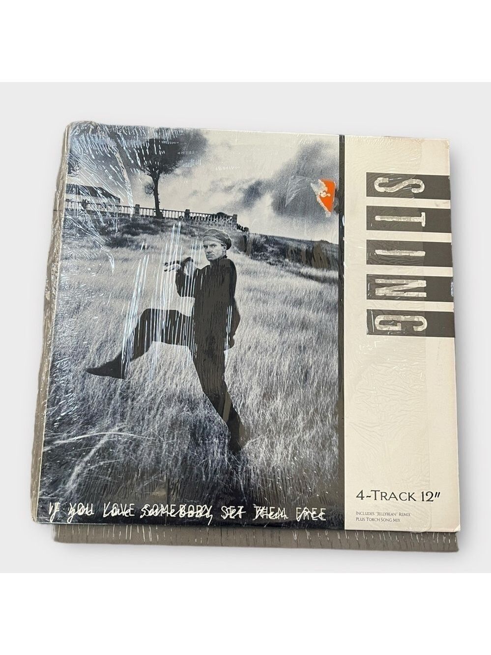 Sting If You Love Somebody Set Them Free 12’ Vinyl Record